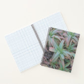 Nevada succulents notitieboek (Binnen)