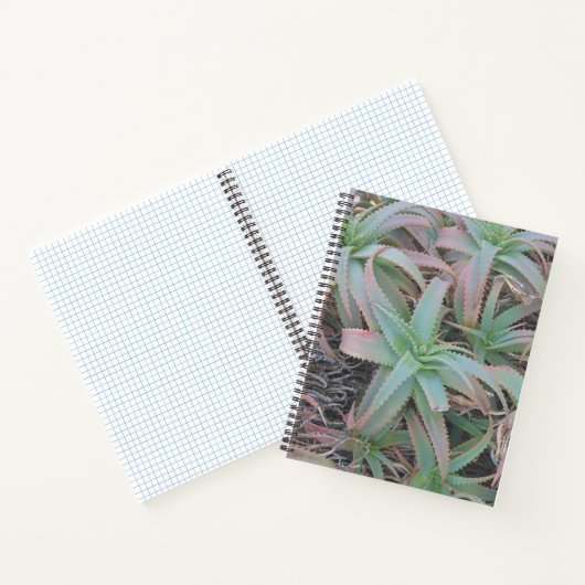 Nevada succulents notitieboek (Binnen)