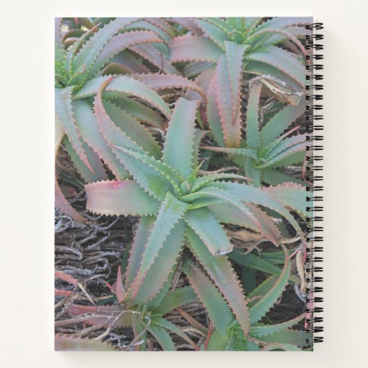 Nevada succulents notitieboek (Achterkant)