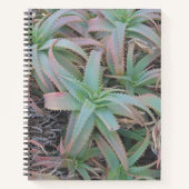 Nevada succulents notitieboek (Voorkant)