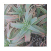 Nevada succulents tegeltje (Voorkant)