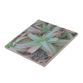 Nevada succulents tegeltje (Zijkant)