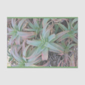 Nevada succulents tissuepapier (Voorkant)