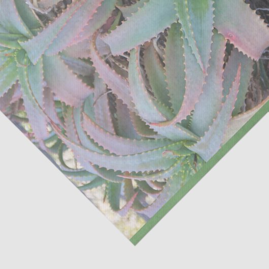 Nevada succulents tissuepapier (Detail)