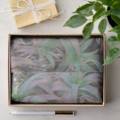 Nevada succulents tissuepapier (Geschenk)