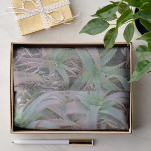 Nevada succulents tissuepapier (Geschenk)