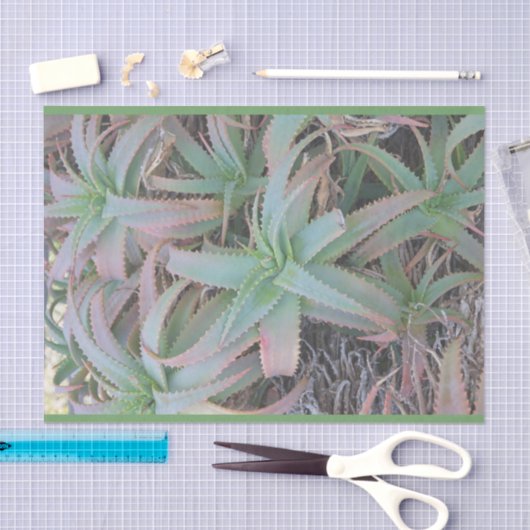 Nevada succulents tissuepapier (Craft)