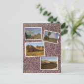 Nevada - Vallei van brand woestijn collage Briefkaart (Staand voorkant)