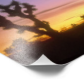 NEVADA. Verenigde Staten. Joshua-bomen Yucca brevi Foto Afdruk (Hoek)