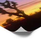 NEVADA. Verenigde Staten. Joshua-bomen Yucca brevi Poster (Hoek)