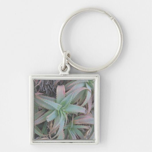Nevada vetplanten sleutelhanger (Voorkant)