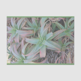 Nevada vetplanten           tissuepapier