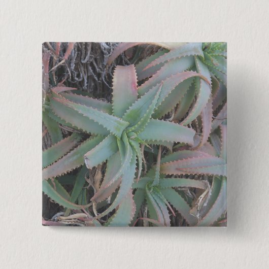 Nevada vetplanten vierkante button 5,1 cm (Voorkant)