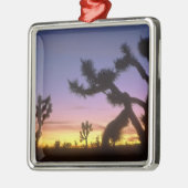 NEVADA. VS. Joshua-bomen Yucca brevifolia) Metalen Ornament (Links)