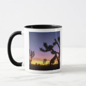 NEVADA. VS. Joshua bomen Yucca brevifolia) Mok (Links)