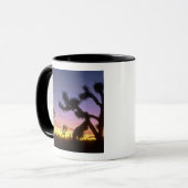 NEVADA. VS. Joshua bomen Yucca brevifolia) Mok (Voorkant links)