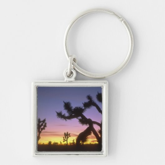 NEVADA. VS. Joshua bomen Yucca brevifolia) Sleutelhanger (Voorkant)