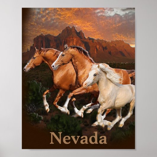Nevada Wild Horses Poster (Voorkant)