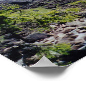 Neveda Herfsten Poster (Hoek)