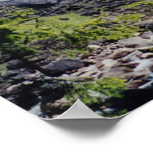 Neveda Herfsten Poster (Hoek)