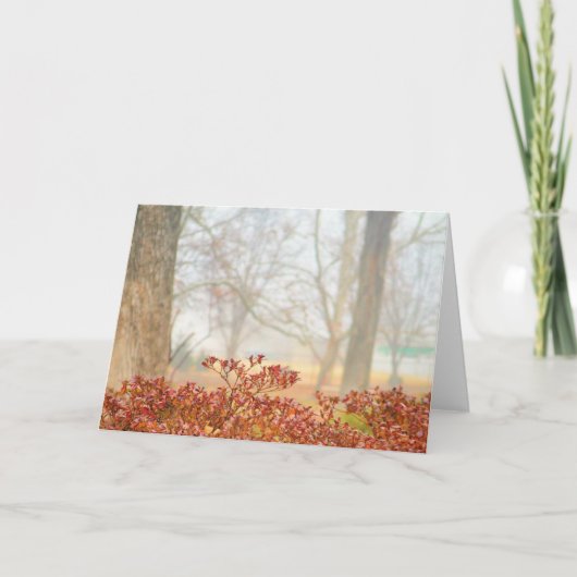 Nevel 3 van de herfst Wenskaart Kaart (Voorkant)