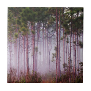 Nevel tussen pijnbomen bij zonsopgang, Everglades Tegeltje