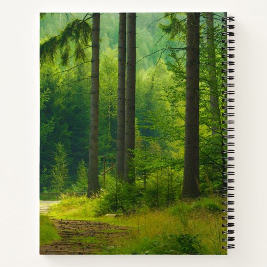 nevel van bomen met een magisch groen bospad notitieboek (Achterkant)