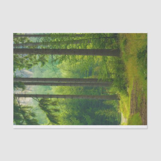 nevel van bomen met een magisch groen bospad tissuepapier (Voorkant)