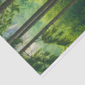 nevel van bomen met een magisch groen bospad tissuepapier (Detail)