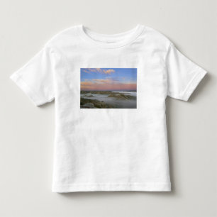 Nevel van de Little Missouri rivier hangt in de Kinder Shirts