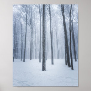 Nevelig bevroren winterbos poster