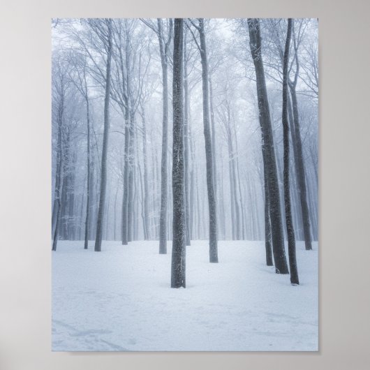 Nevelig bevroren winterbos poster (Voorkant)