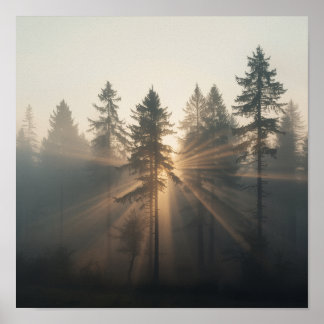 Nevelig Bos Ochtendlandschap Poster