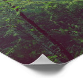 Nevelig bos poster (Hoek)