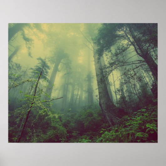 Nevelig bos poster (Voorkant)