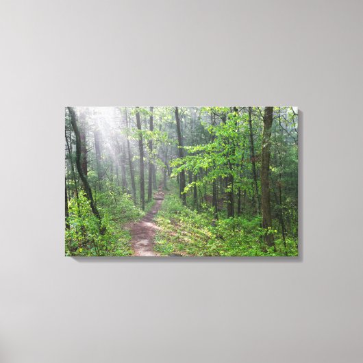 Nevelig bospad bij Castle Mound Canvas Afdruk (Voorkant)