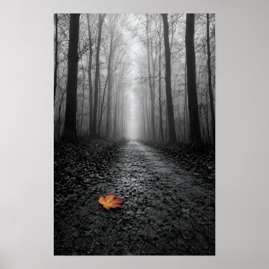Nevelig Bospad Selectieve Kleur Poster (Voorkant)