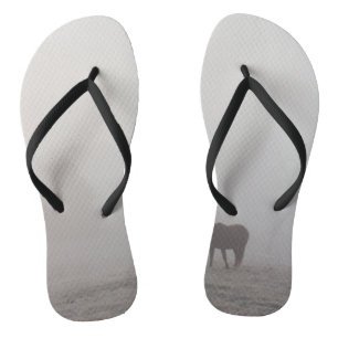 Nevelig grazen teenslippers