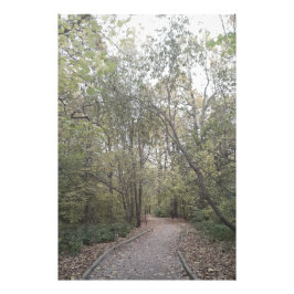 Nevelig herfst bospad foto afdruk