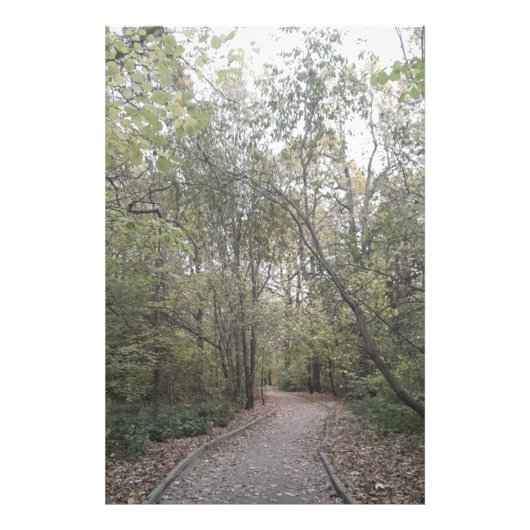 Nevelig herfst bospad foto afdruk (Voorkant)