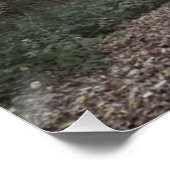 Nevelig herfstbospad perfect poster (Hoek)