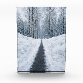 Nevelig winter bos pad Winter Landschap Poster Fotoblokken