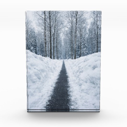 Nevelig winter bos pad Winter Landschap Poster Fotoblokken (Voorkant)