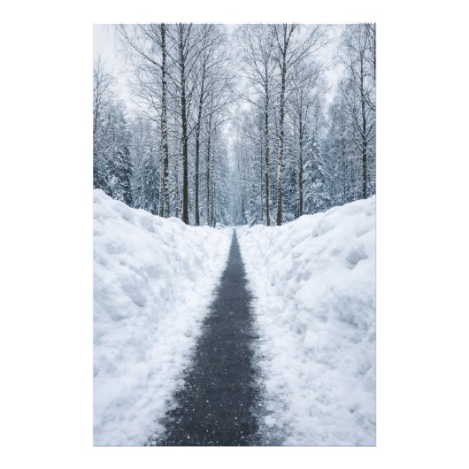 Nevelig winterse bospad Winterlandschap Poster (Voorkant)