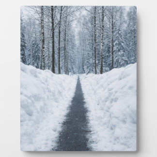 Nevelig winterse bospad Winterlandschap Poster Fotoplaat