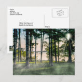 Nevelige bomen bij Table Rock Briefkaart (Voorkant / Achterkant)