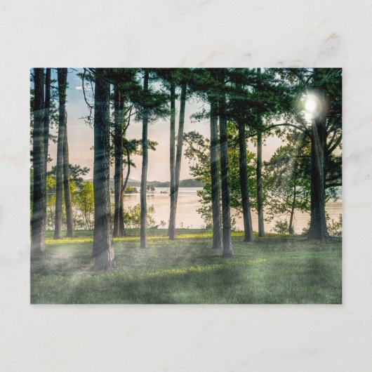 Nevelige bomen bij Table Rock Briefkaart (Voorkant)