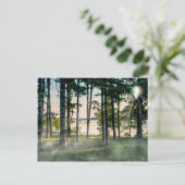 Nevelige bomen bij Table Rock Briefkaart (Staand voorkant)