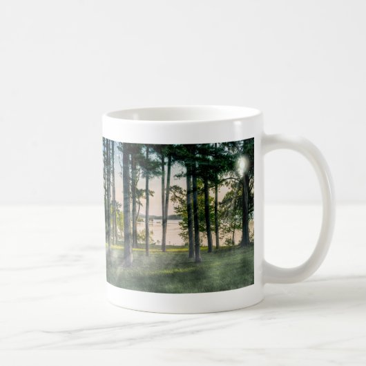 Nevelige bomen bij Table Rock Koffiemok (Rechts)
