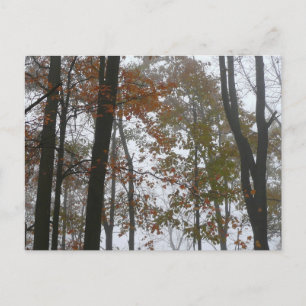 Nevelige herfst in Pennsylvania herfst natuur Briefkaart